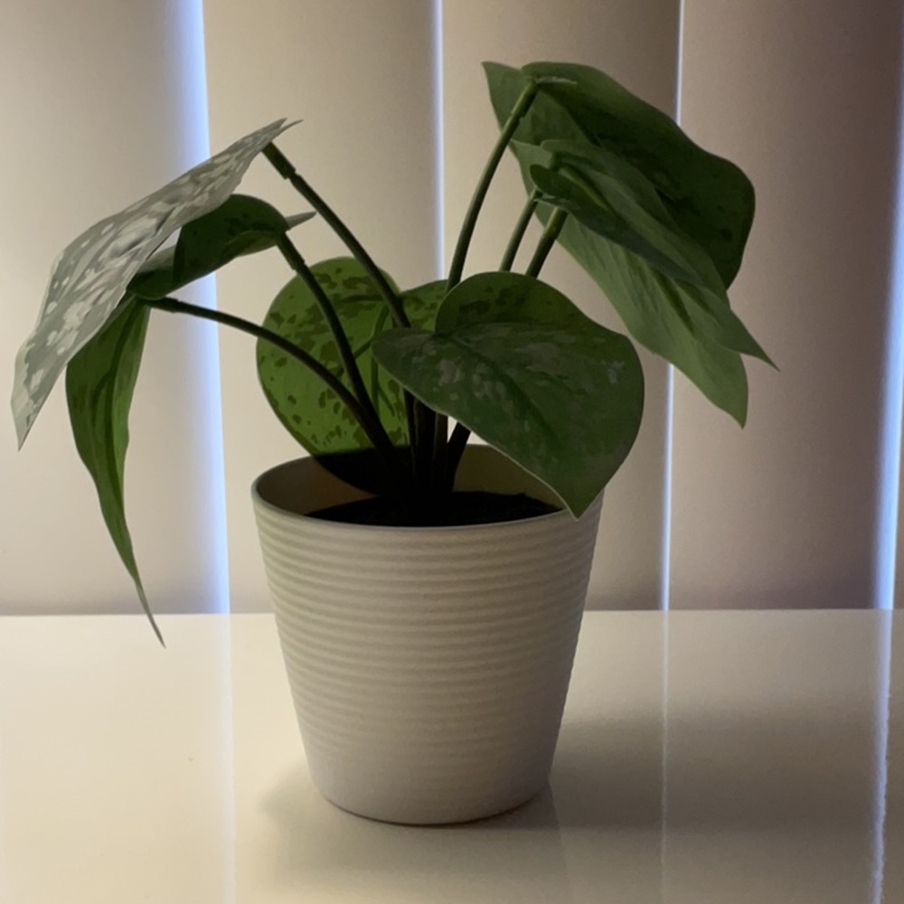 Mainstays Green Potted Plant with White Planter